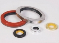 PTFE Seal