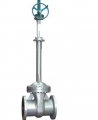 Cryogenic Gate Valve