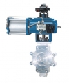 Lugged Butterfly Valve