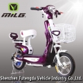 Electric Bicycle MLh-hZGM