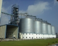 Silo Feed Silo