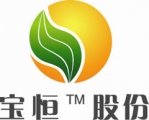 上海宝恒 ShanghaiBaoheng LOGO