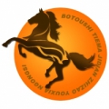 iron horse, botou city mechanical and electrical equipment manufacturing co., Ltd. 铁马机电 bttmjd LOGO